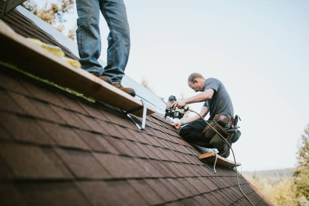 Quick and Trustworthy Emergency Roof Repair Services in Greeley, CO